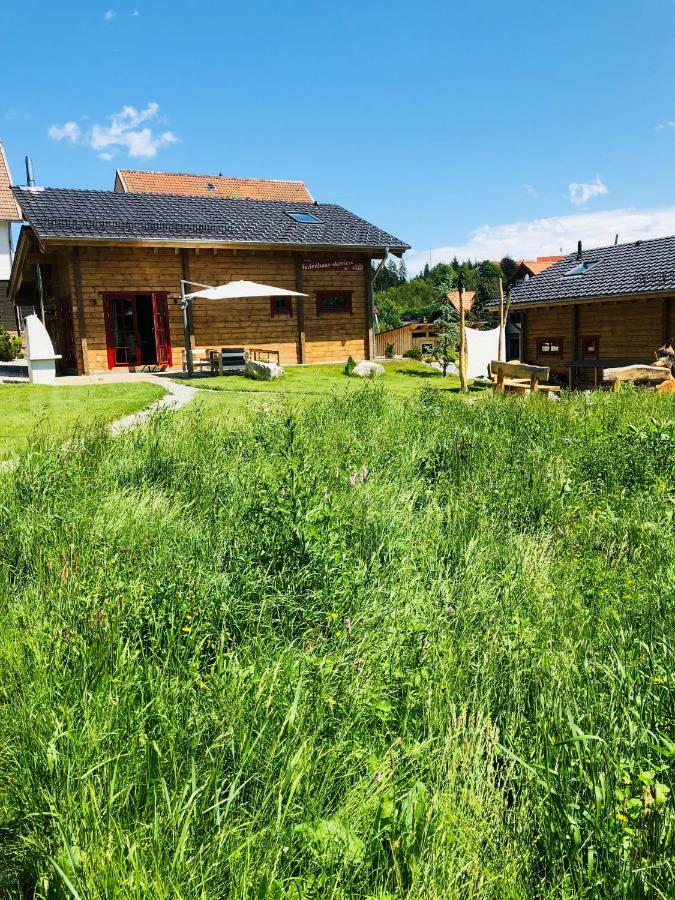 Blockhaus An Der Skiwiese Braunlage Extérieur photo